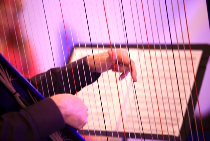 XKTdra en concert à Utrecht